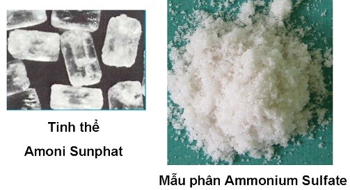 damsunphat