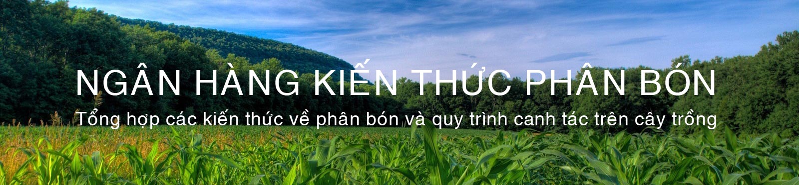 Header